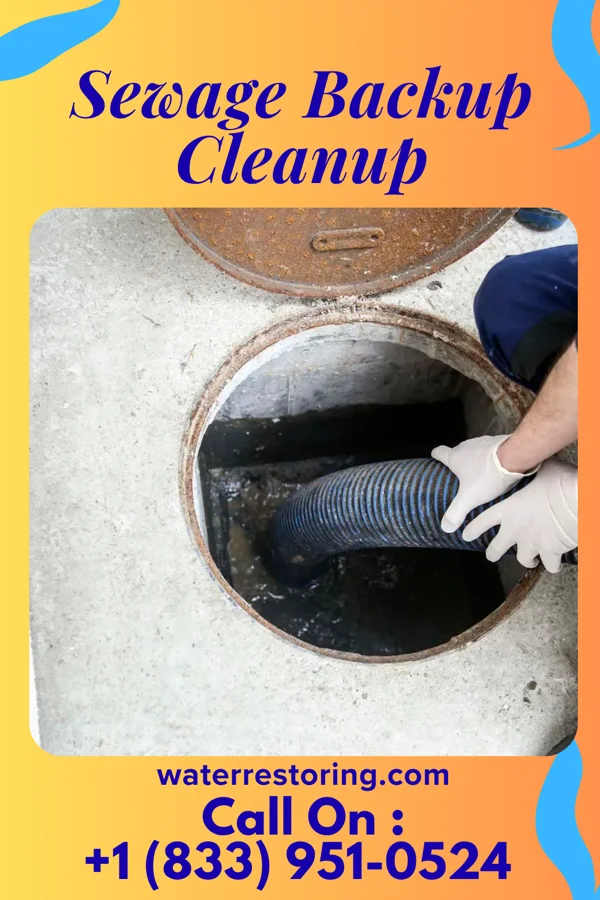 Sewage Backup Cleanup in Emerald Bay, TX