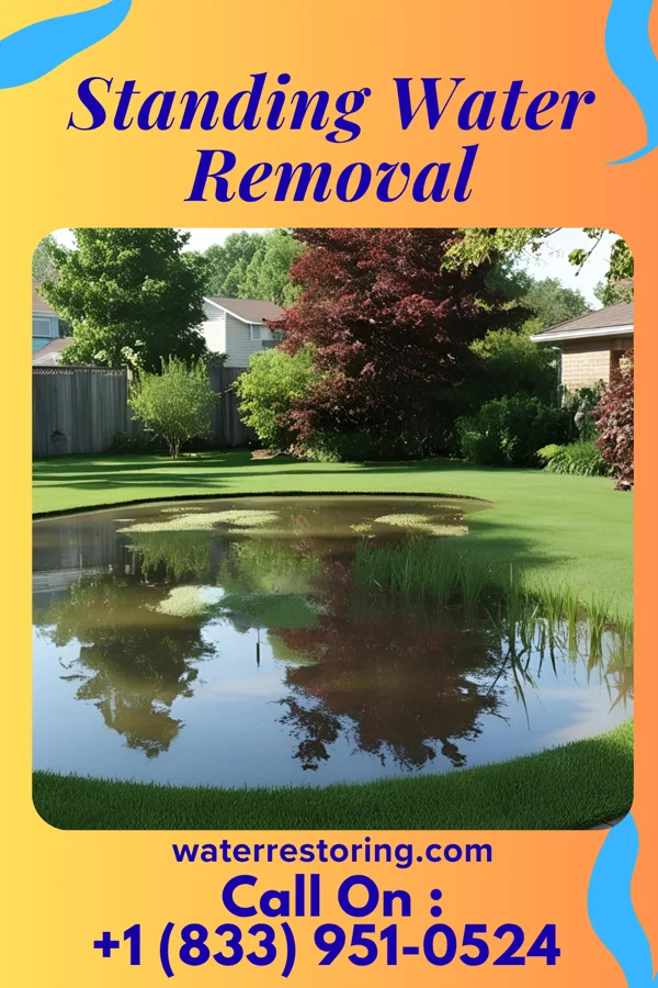 Standing Water Removal in Emerald Bay, TX